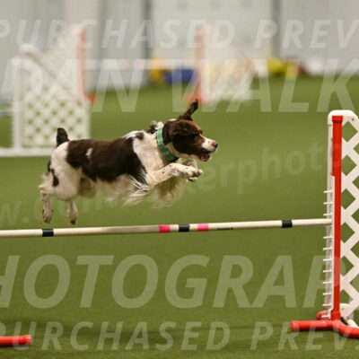 Rune-Jamie-Thompson-07991