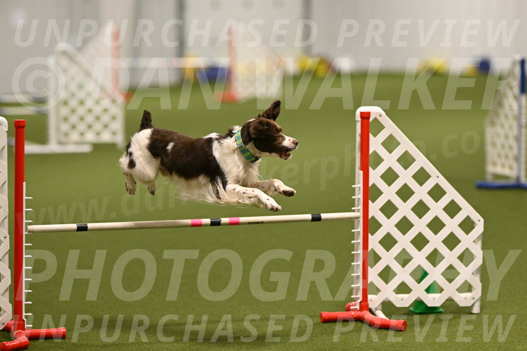 Rune-Jamie-Thompson-07992