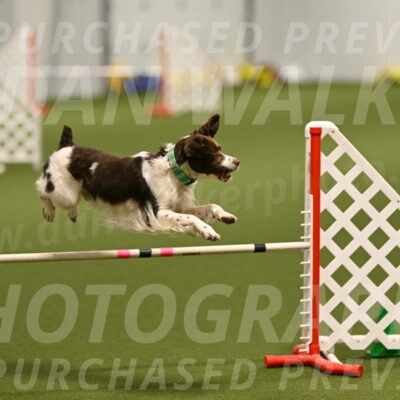 Rune-Jamie-Thompson-07992