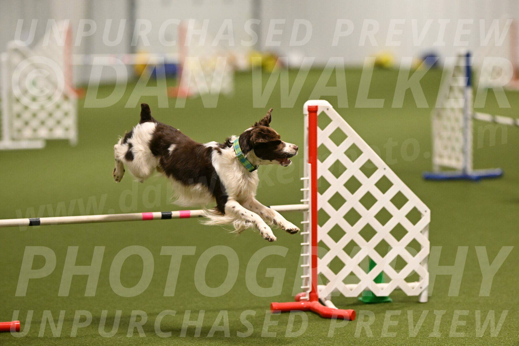 Rune-Jamie-Thompson-07993