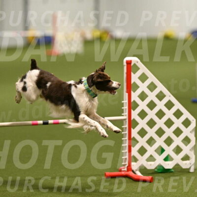 Rune-Jamie-Thompson-07993