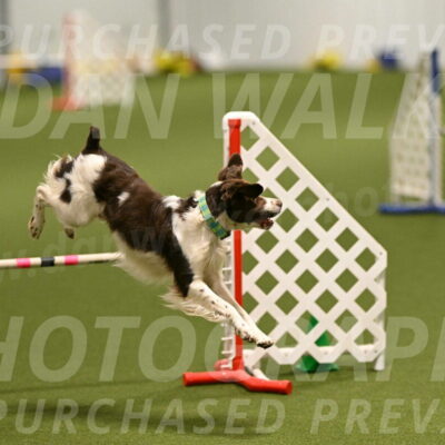 Rune-Jamie-Thompson-07994