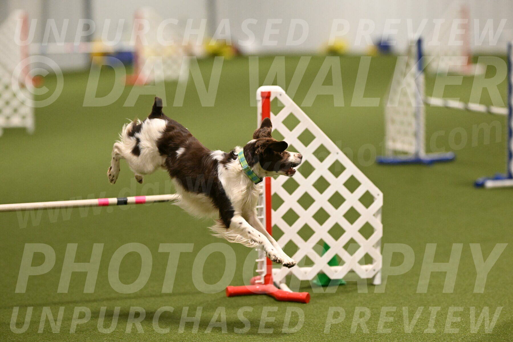 Rune-Jamie-Thompson-07994