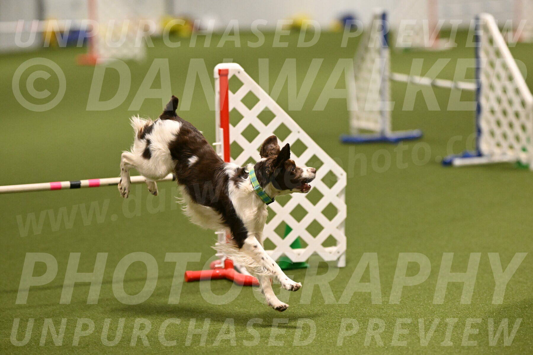 Rune-Jamie-Thompson-07995