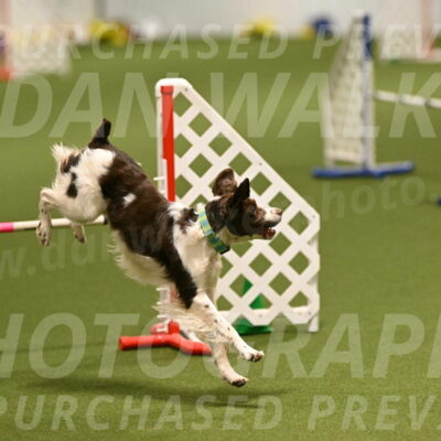 Rune-Jamie-Thompson-07995