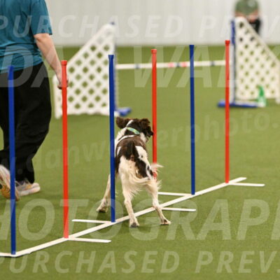 Rune-Jamie-Thompson-07996