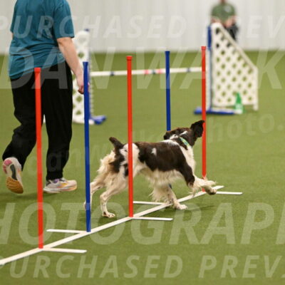 Rune-Jamie-Thompson-07997