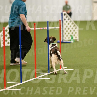 Rune-Jamie-Thompson-07998