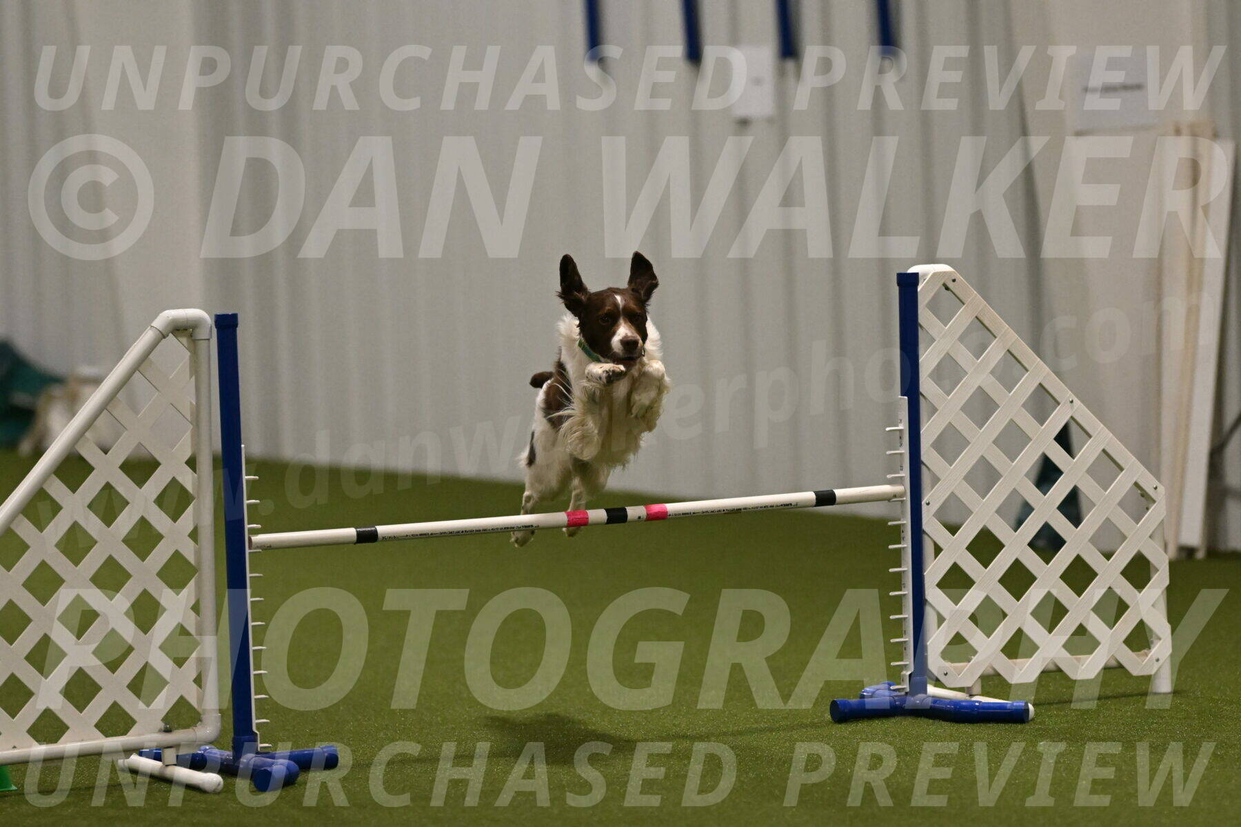 Rune-Jamie-Thompson-08000