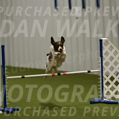 Rune-Jamie-Thompson-08000