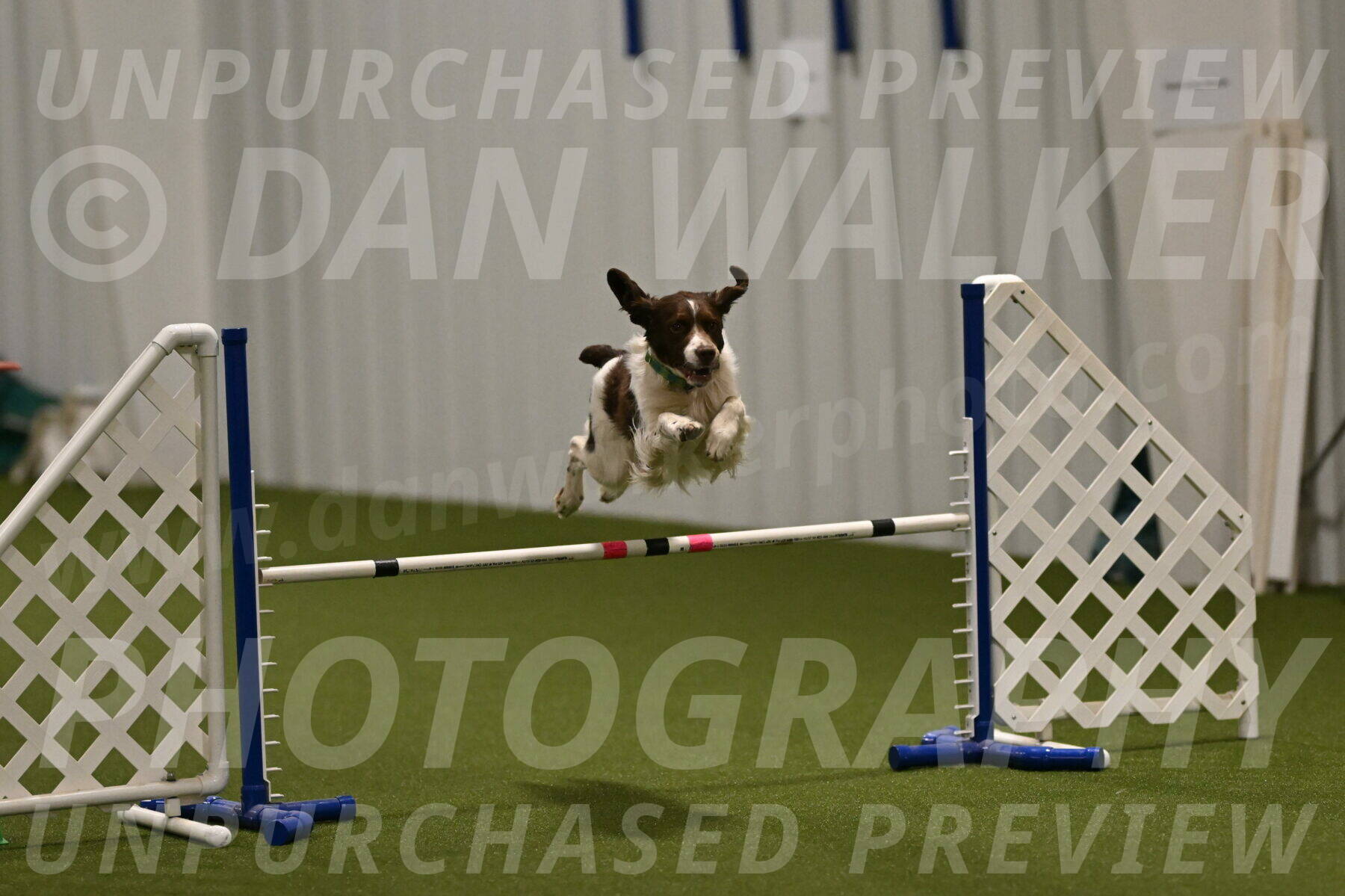 Rune-Jamie-Thompson-08001