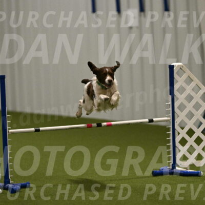 Rune-Jamie-Thompson-08001