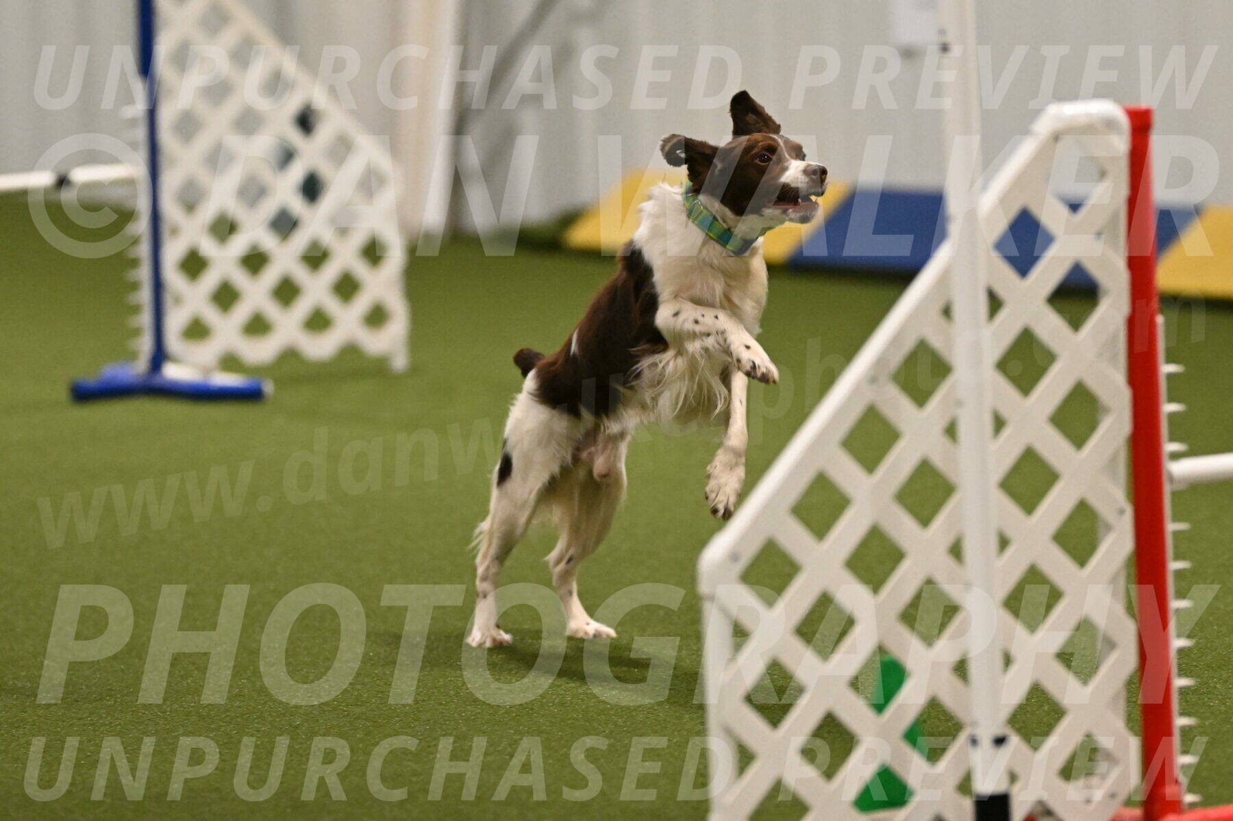 Rune-Jamie-Thompson-08002