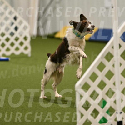 Rune-Jamie-Thompson-08002