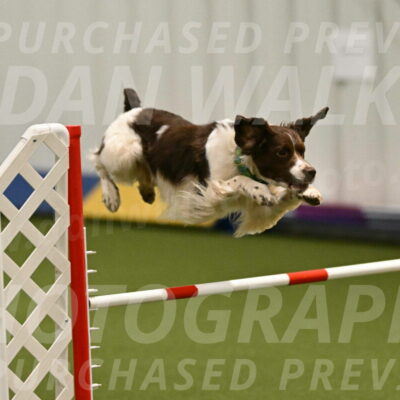 Rune-Jamie-Thompson-08003