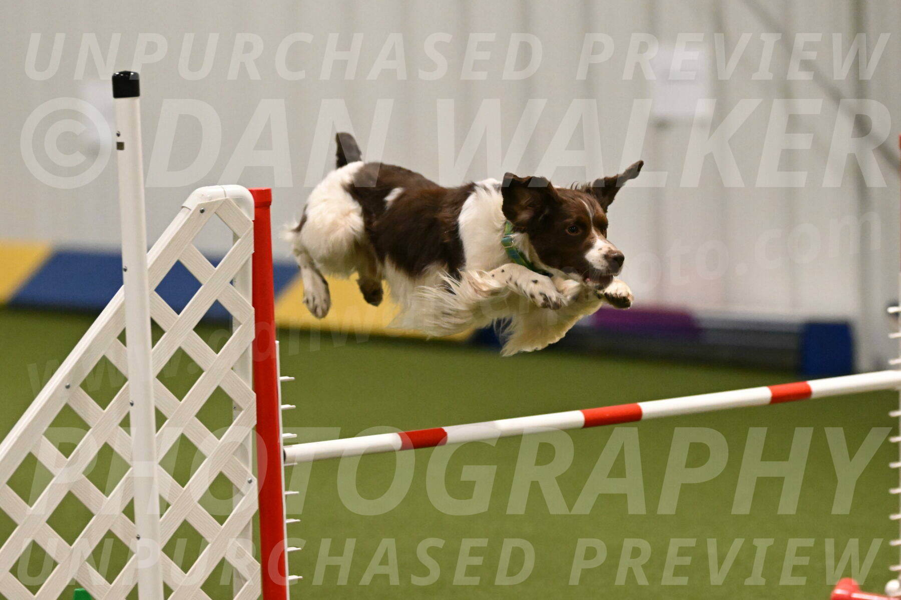 Rune-Jamie-Thompson-08003