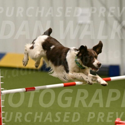 Rune-Jamie-Thompson-08004