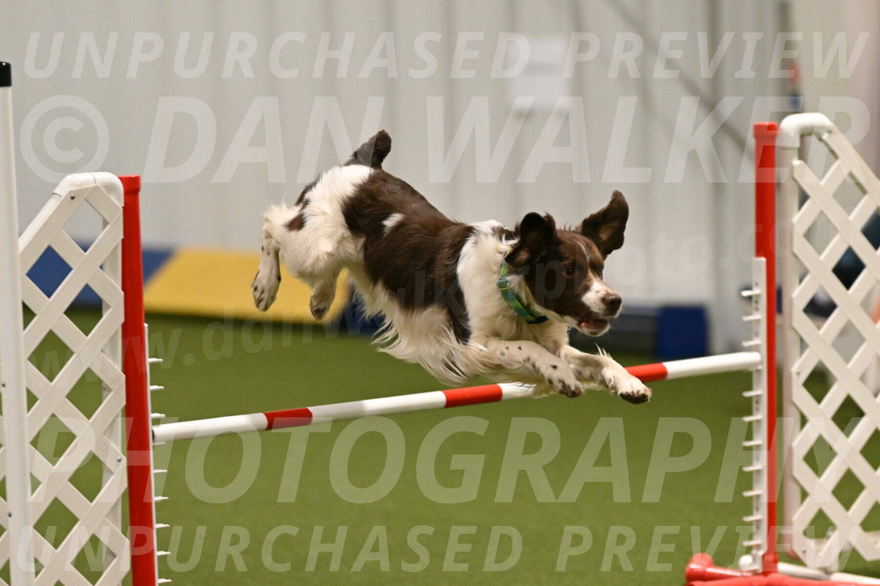 Rune-Jamie-Thompson-08004