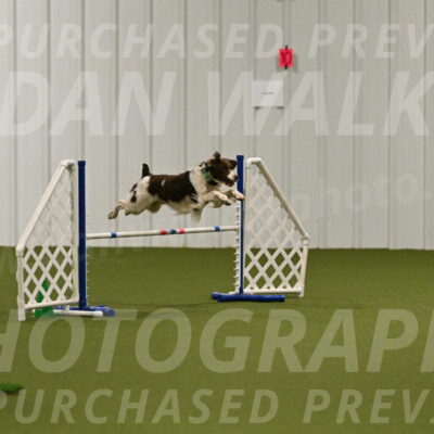 Rune-Jamie-Thompson-08005