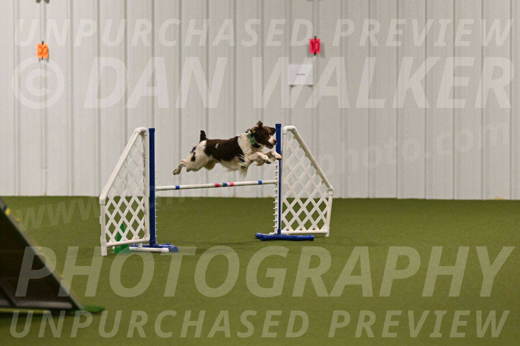 Rune-Jamie-Thompson-08005