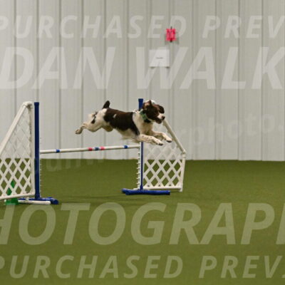 Rune-Jamie-Thompson-08006