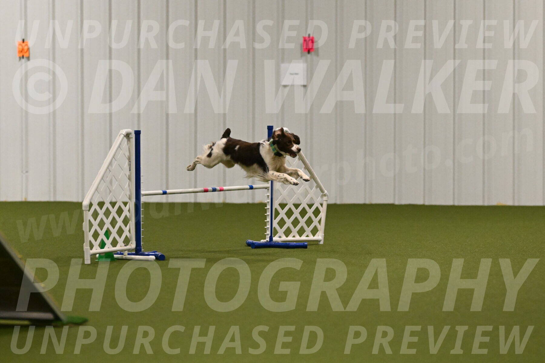 Rune-Jamie-Thompson-08006