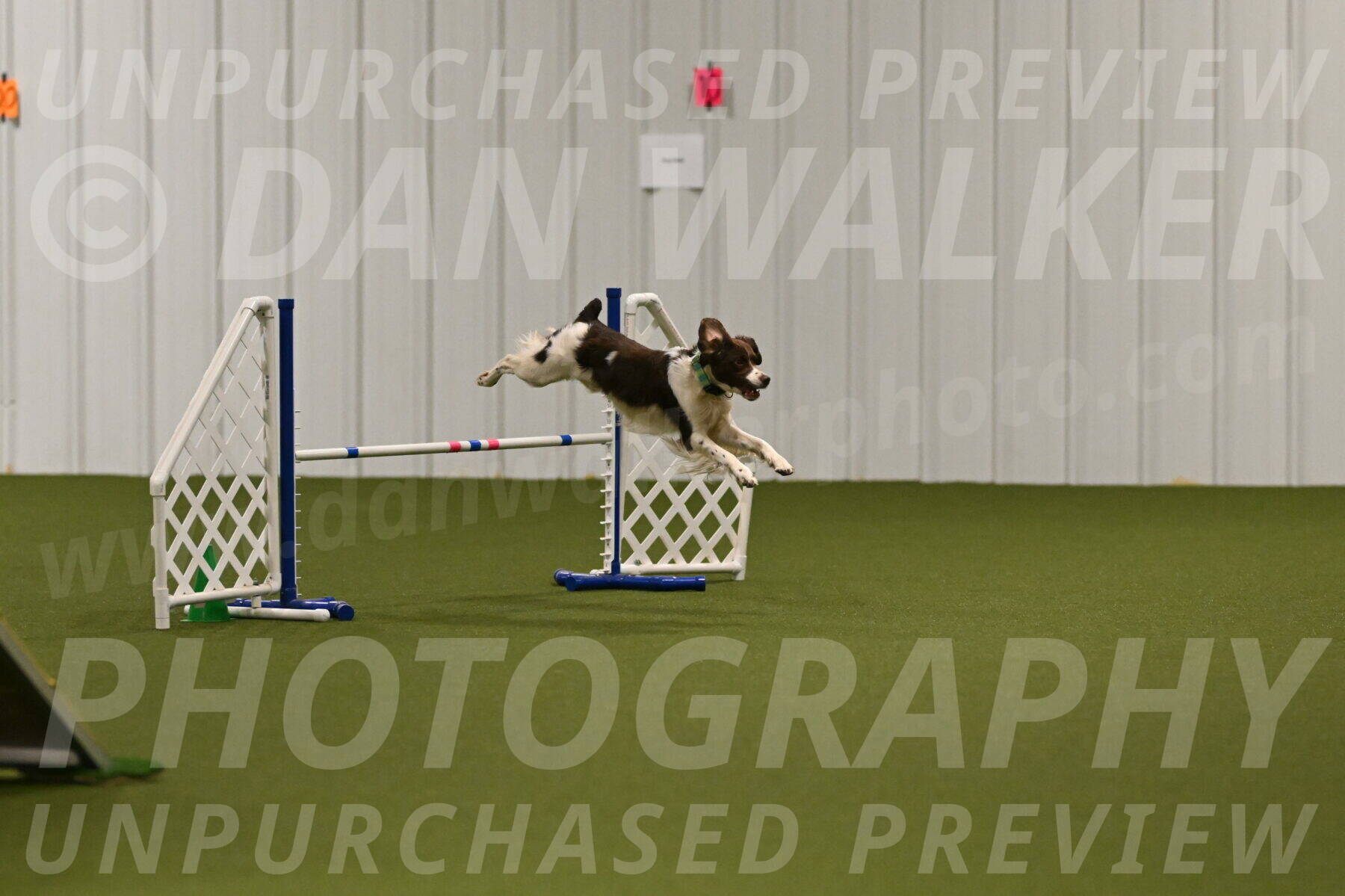 Rune-Jamie-Thompson-08007