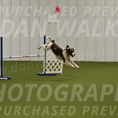 Rune-Jamie-Thompson-08008