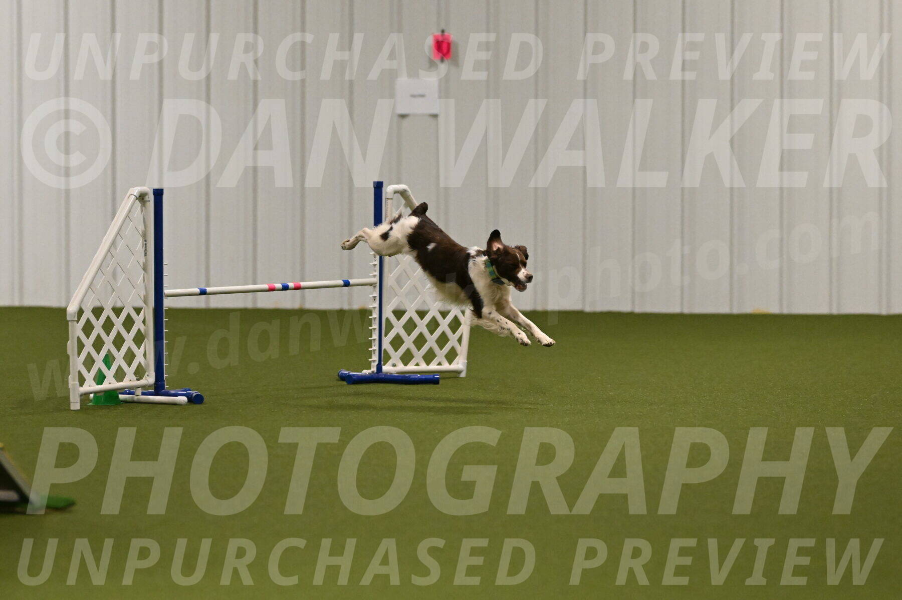 Rune-Jamie-Thompson-08008