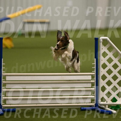 Rune-Jamie-Thompson-08012