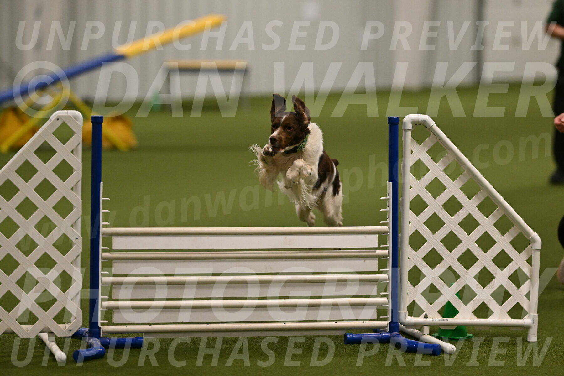 Rune-Jamie-Thompson-08012