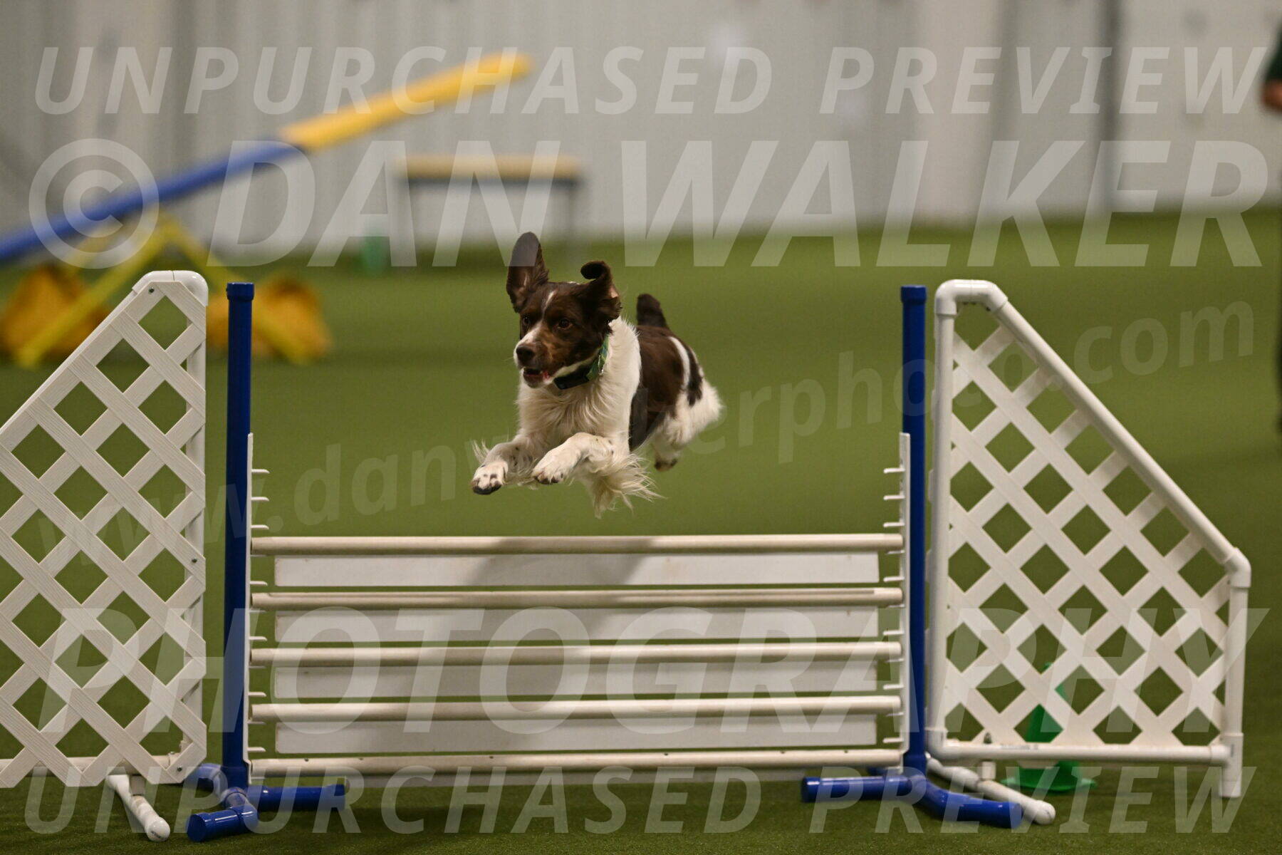 Rune-Jamie-Thompson-08013