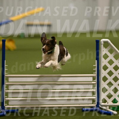 Rune-Jamie-Thompson-08013