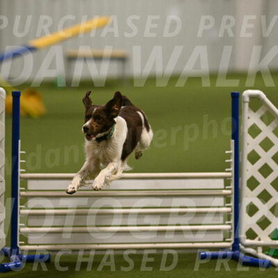 Rune-Jamie-Thompson-08014