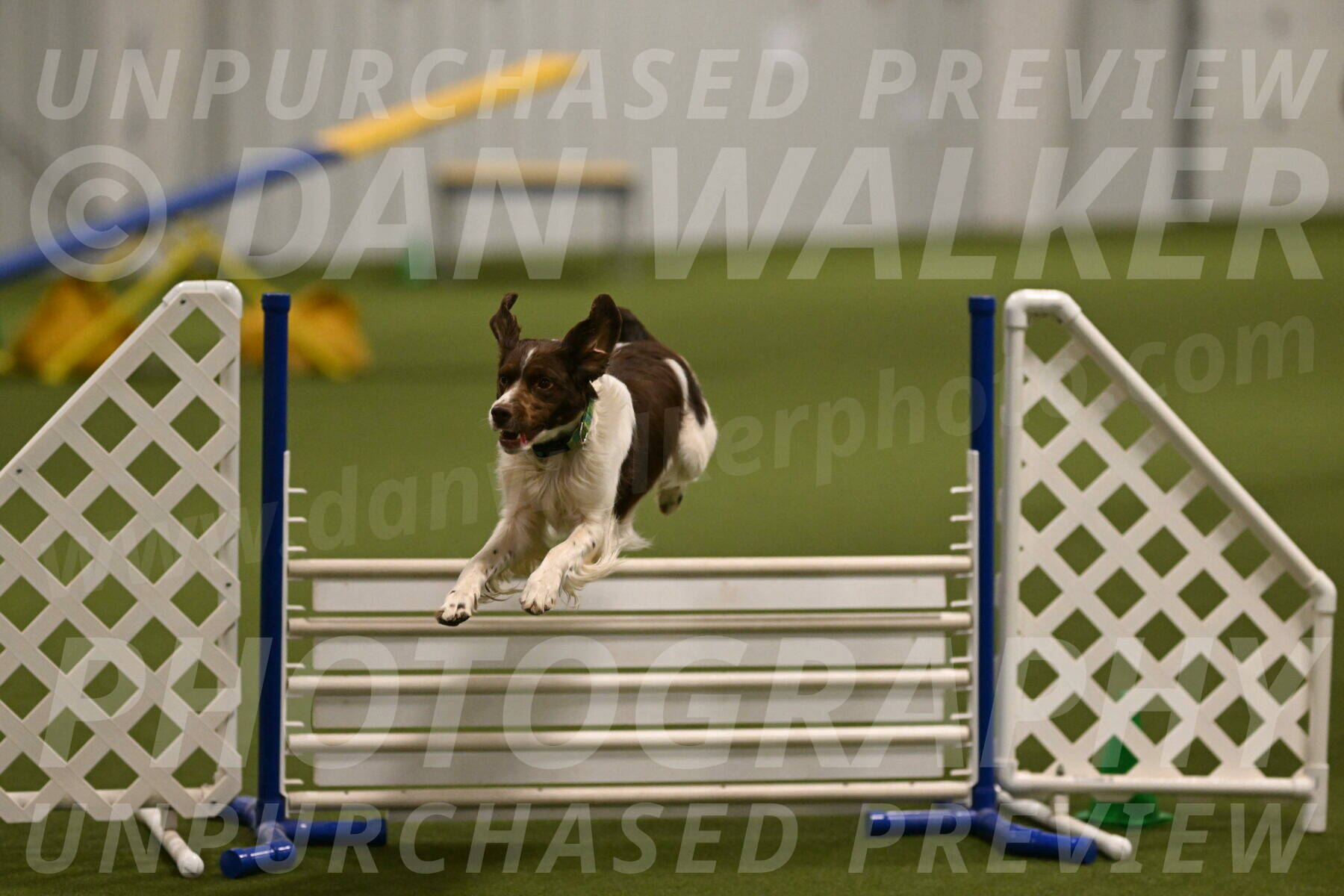 Rune-Jamie-Thompson-08014