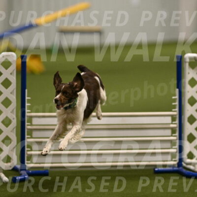 Rune-Jamie-Thompson-08015