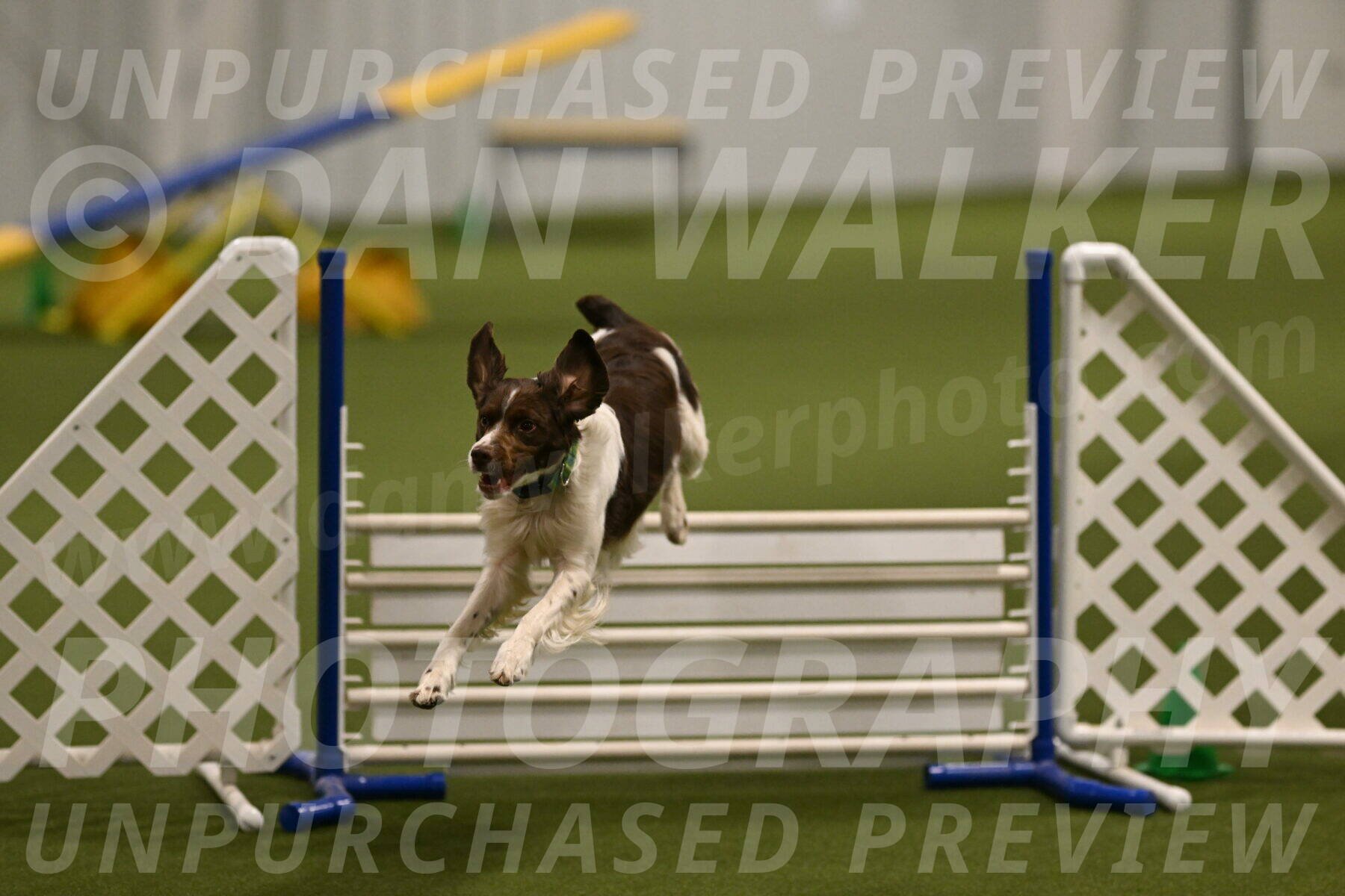 Rune-Jamie-Thompson-08015