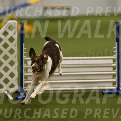 Rune-Jamie-Thompson-08016