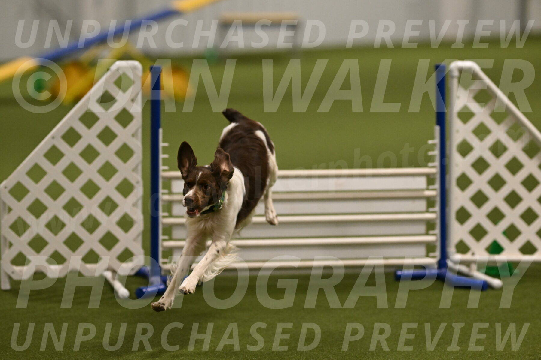 Rune-Jamie-Thompson-08016