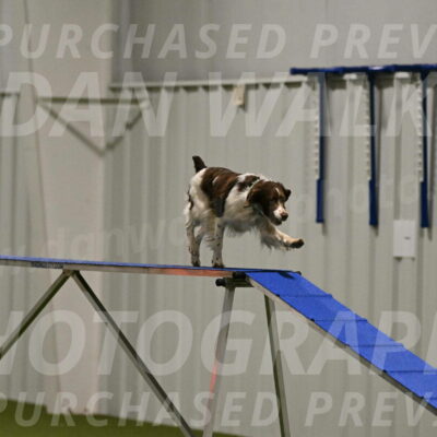 Rune-Jamie-Thompson-08017