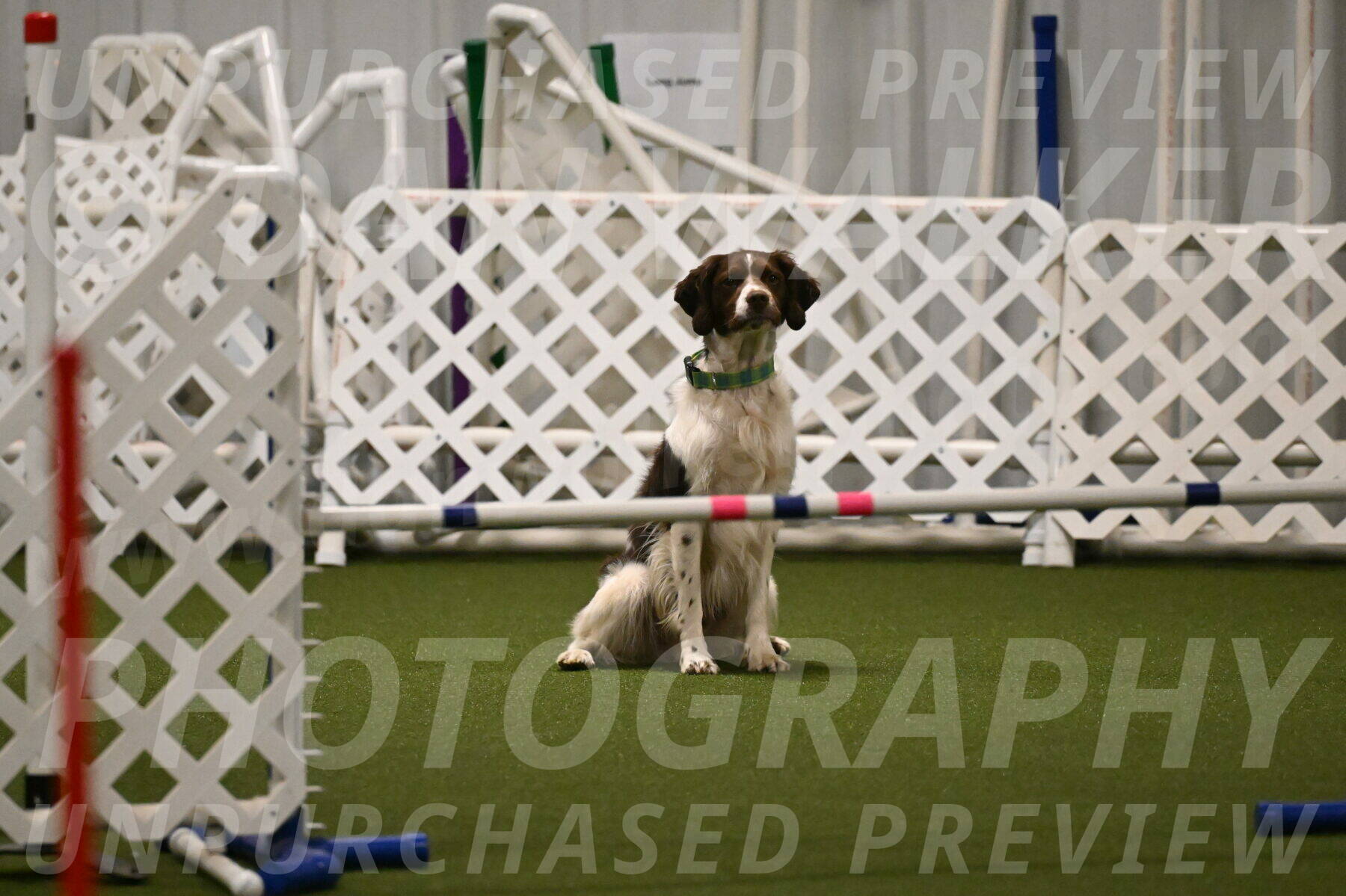 Rune-Jamie-Thompson-08018