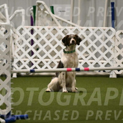 Rune-Jamie-Thompson-08018