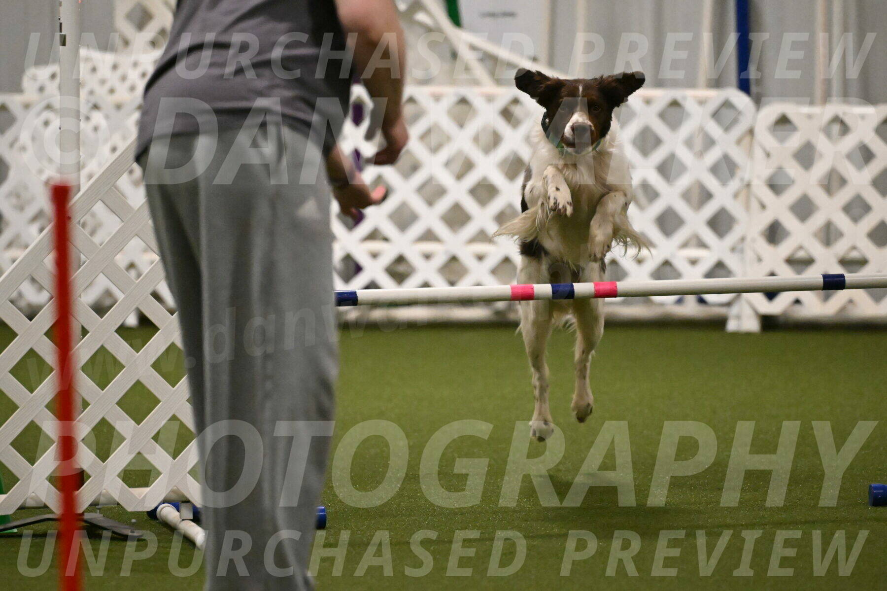 Rune-Jamie-Thompson-08019