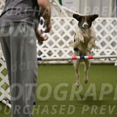 Rune-Jamie-Thompson-08019