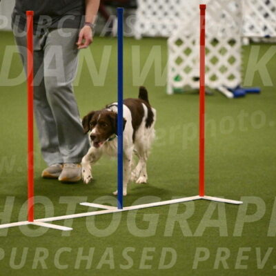 Rune-Jamie-Thompson-08020