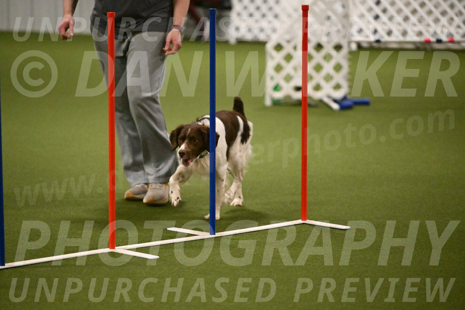 Rune-Jamie-Thompson-08020