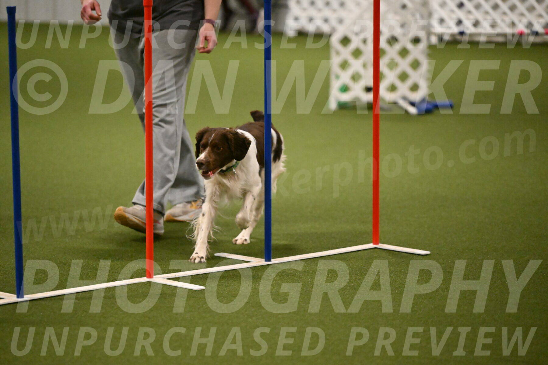 Rune-Jamie-Thompson-08021