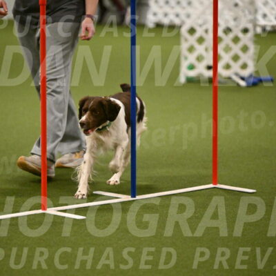 Rune-Jamie-Thompson-08021