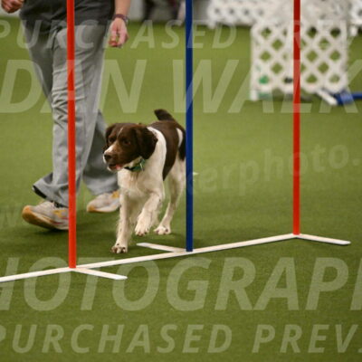 Rune-Jamie-Thompson-08022