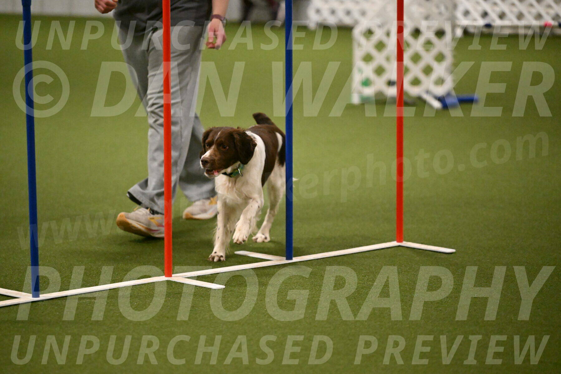 Rune-Jamie-Thompson-08022